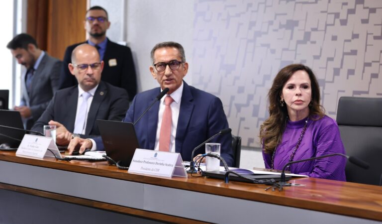 Em audiência com ministro da Integração, Professora Dorinha propõe microcrédito emergencial para população afetada por calamidades