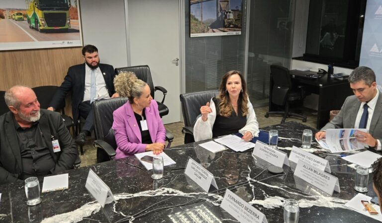 Senadora Professora Dorinha articula avanços para a readequação da BR-153 em Gurupi e Aliança