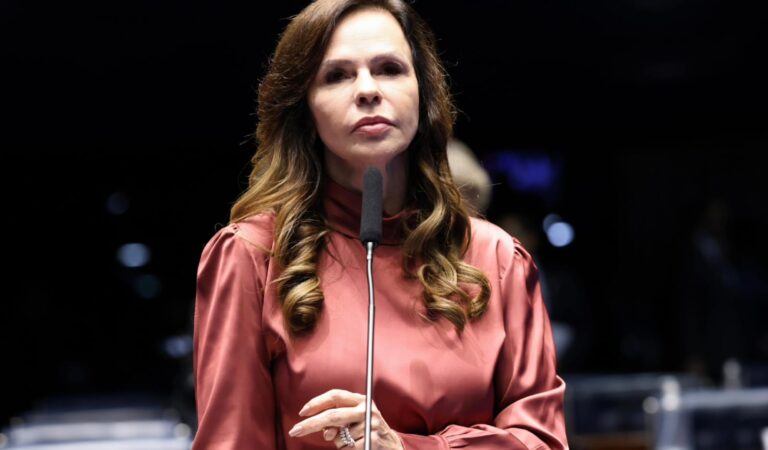 Nova lei garante extensão da licença-maternidade em casos de internação; Dorinha foi relatora