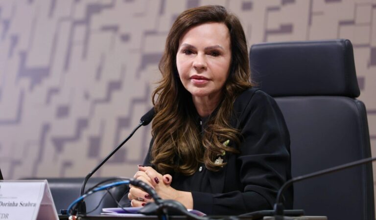 Dorinha assume relatoria da MP que reajusta o Piso do Magistério