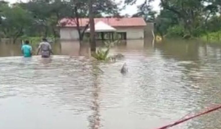 Dorinha assegura R$ 4,8 milhões para obra de drenagem e pavimentação em área afetada por alagamentos em Paranã
