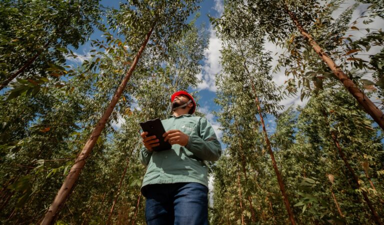SINOBRAS Florestal abre chamada técnica para soluções inteligentes de prevenção e monitoramento de incêndios